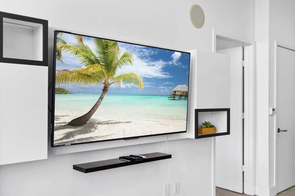 Television