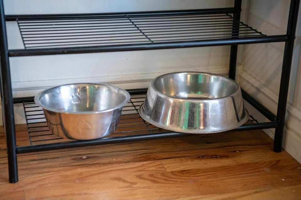 Pets Welcomed!
