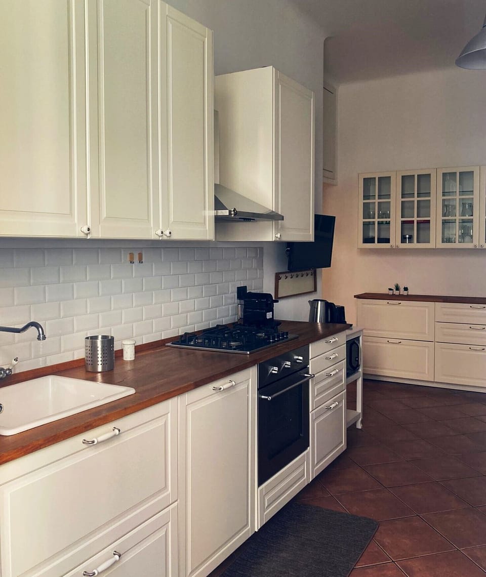 Basic Apartment | Private kitchen | Full-size fridge, microwave, oven, dishwasher