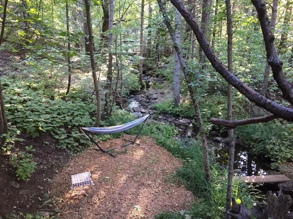 Hear the water from your hammock, living room, or bridge to the front door over the creek.