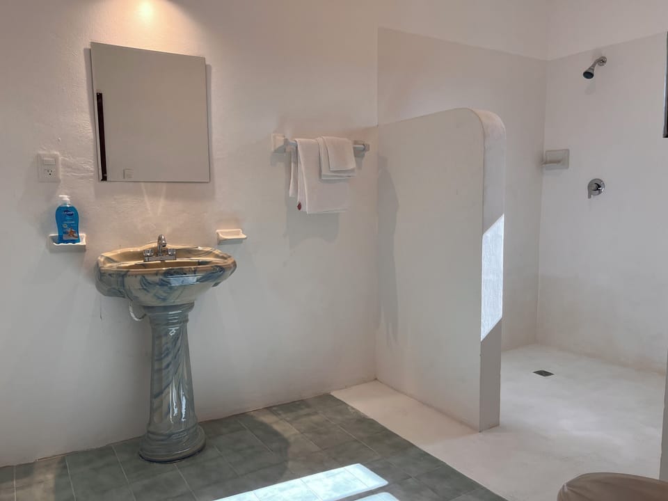 Deluxe Room | Bathroom | Free toiletries, towels, toilet paper