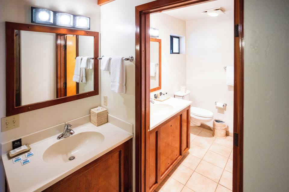 Free toiletries, hair dryer, towels