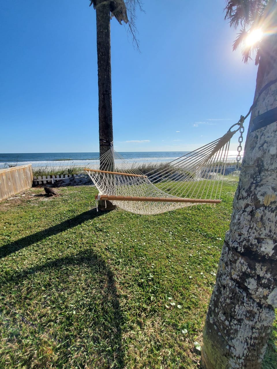 Relax in a serene hammock nestled between palm trees with ocean views.