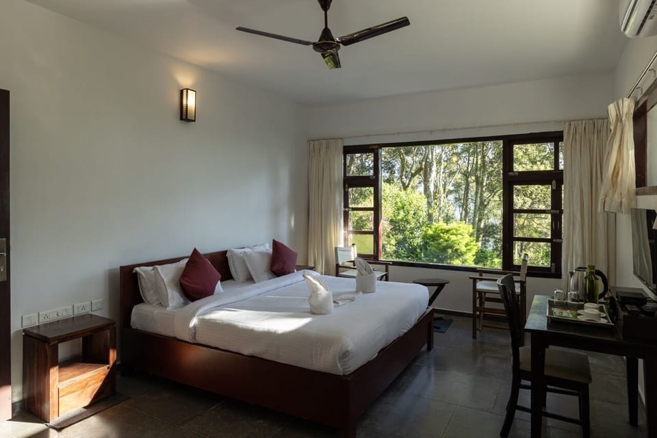 Premium bedding, desk, free WiFi, bed sheets