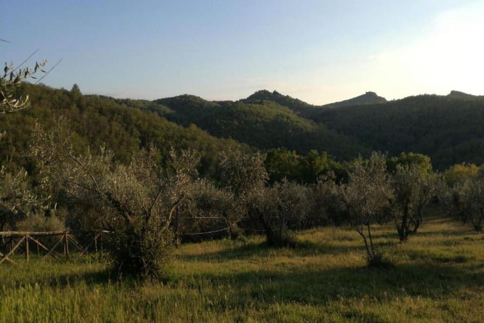 Region [summer] (>5 km)