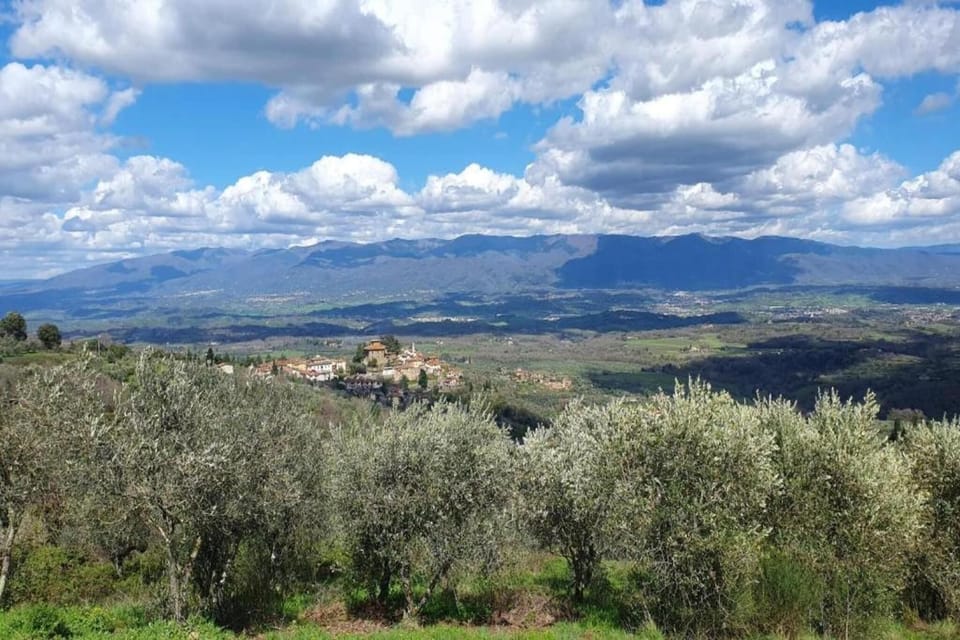 Region [summer] (>5 km)