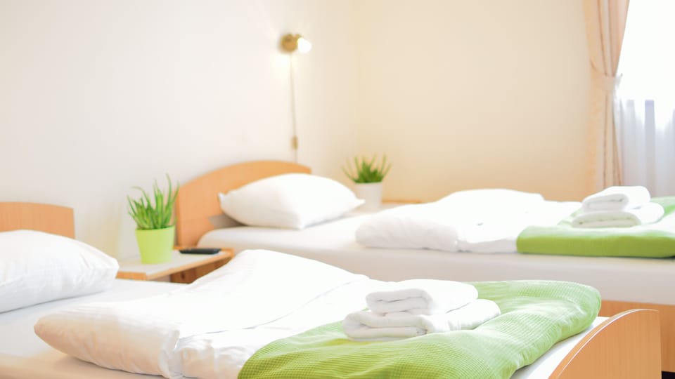 Twin Room | Laptop workspace, iron/ironing board, free WiFi, bed sheets