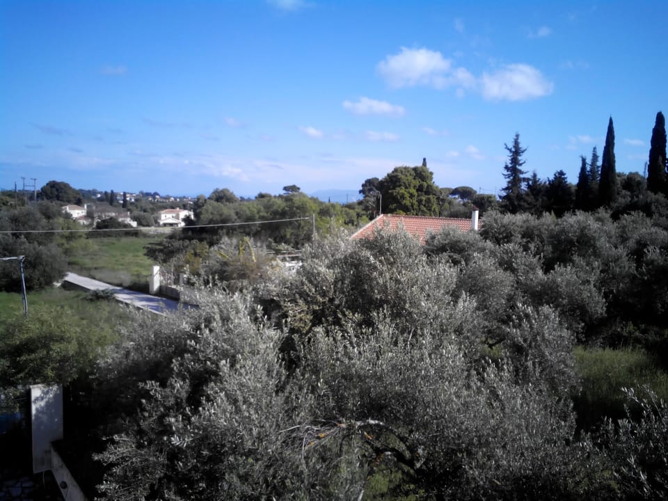 Studio, Sea View | Balcony view