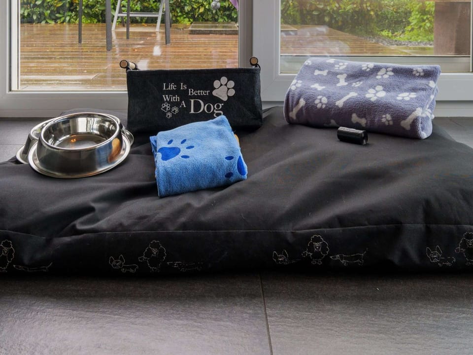 Dog equipment