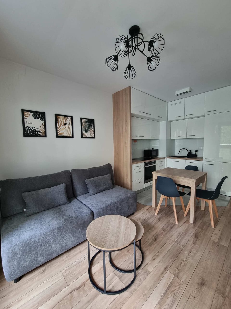A spacious living room with a gray sofa, minimalist decor, and an open-plan kitchen, combining style and functionality.