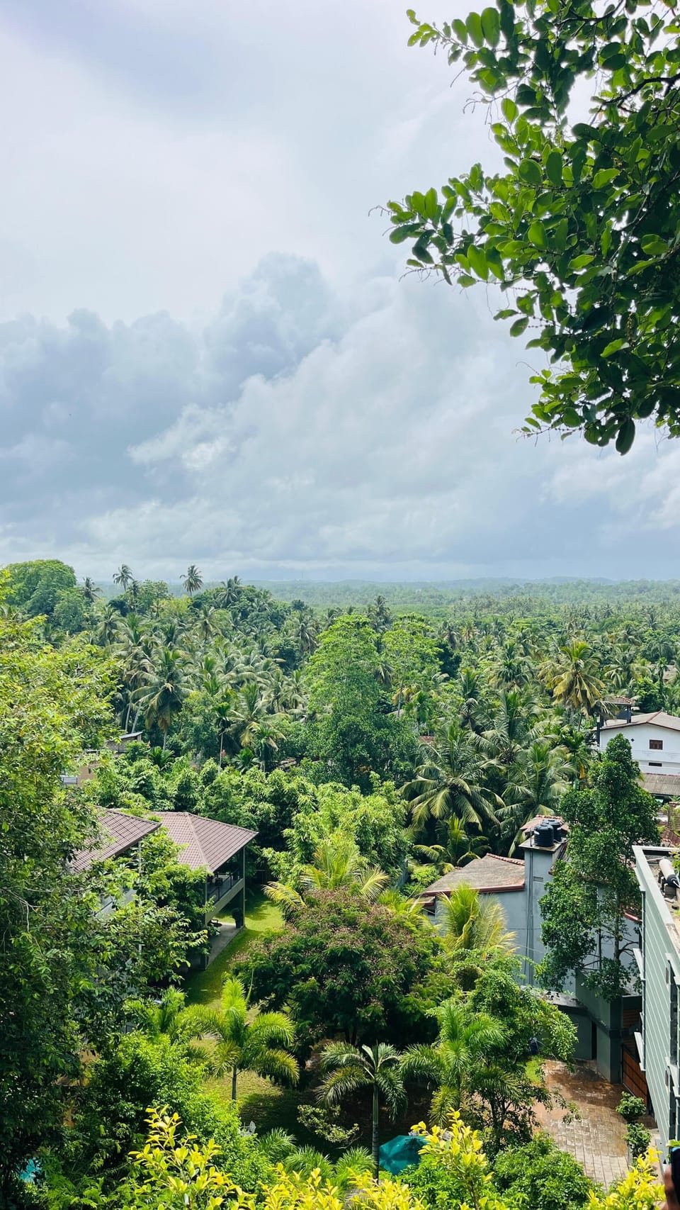 View from room