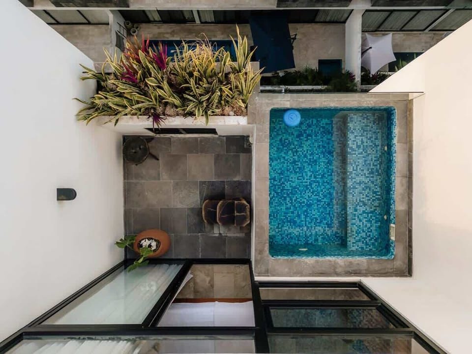 2024-12-08 - Jungle Luxe - Condominio Elena-29