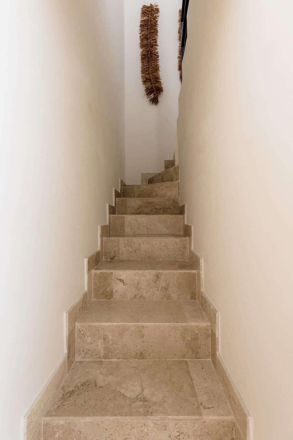 2024-12-08 - Jungle Luxe - Condominio Elena-14