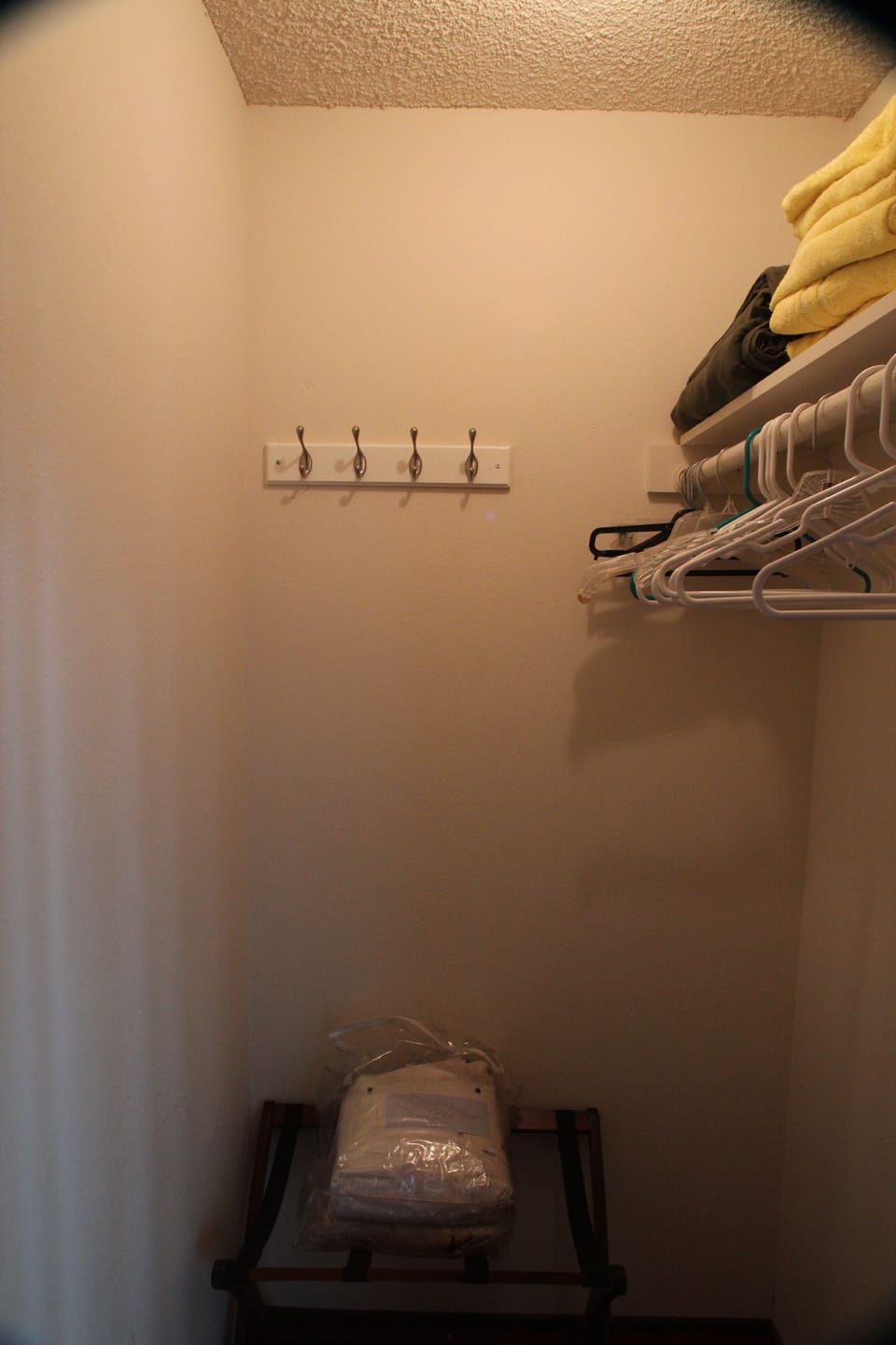 Bedroom 2 walk in closet