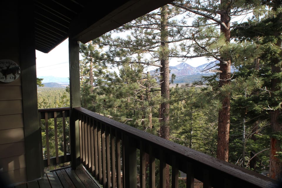 Living Room View
