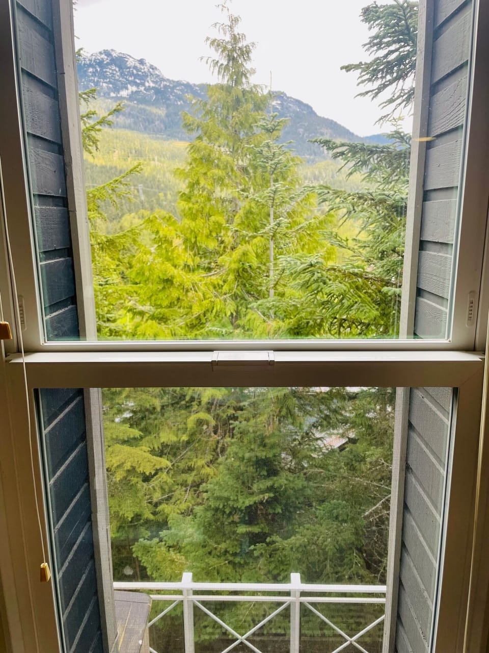 View from lofted area