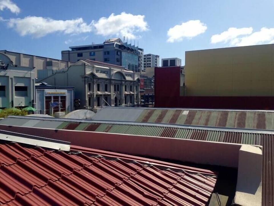 View from Balcony - Courtenay Place