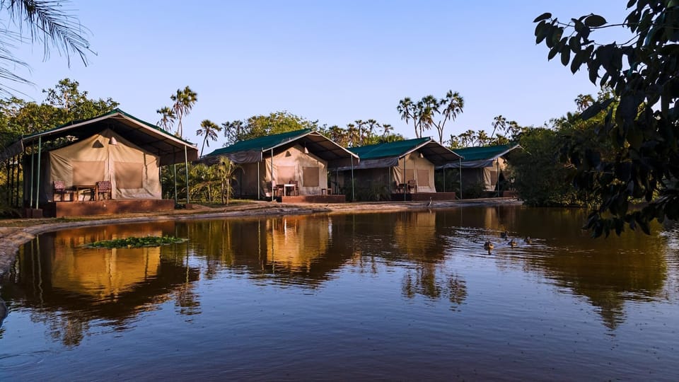 Luxury Tent, 1 Queen Bed | Water view