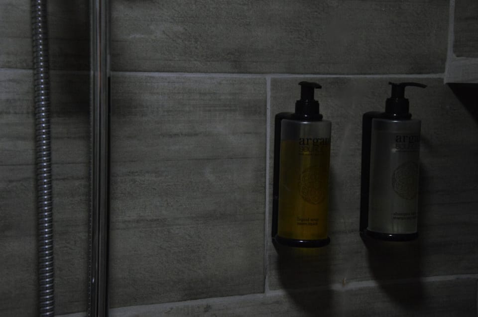 Basic Room | Bathroom amenities | Shower, rainfall showerhead, free toiletries, hair dryer