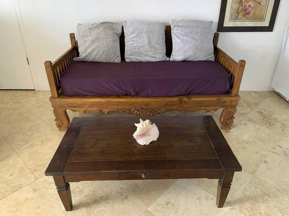 Twin day bed in living space