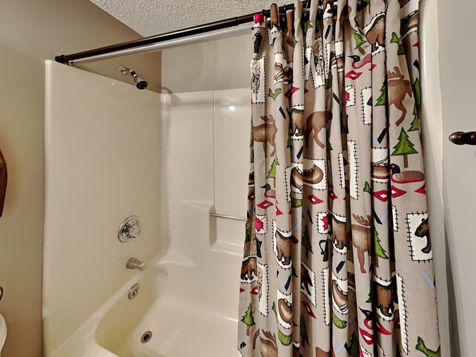 Villages of Wisp 66 Bright Passage by Taylor Made Deep Creek House in McHenry