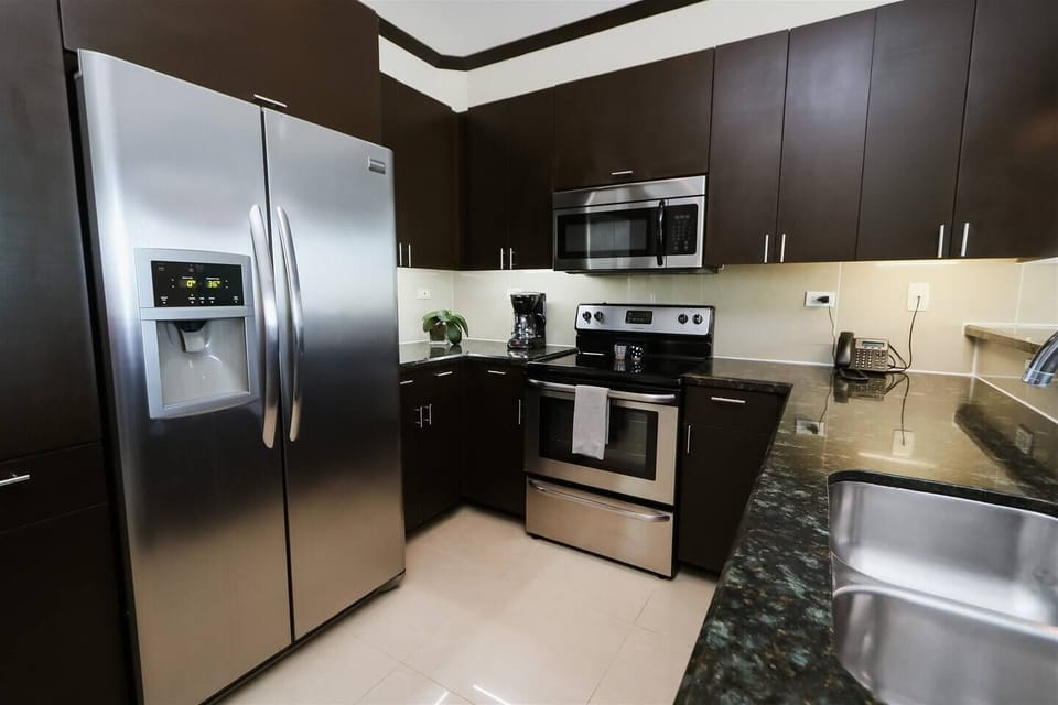 Luxury Apartment | Private kitchen | Full-size fridge, microwave, oven, stovetop