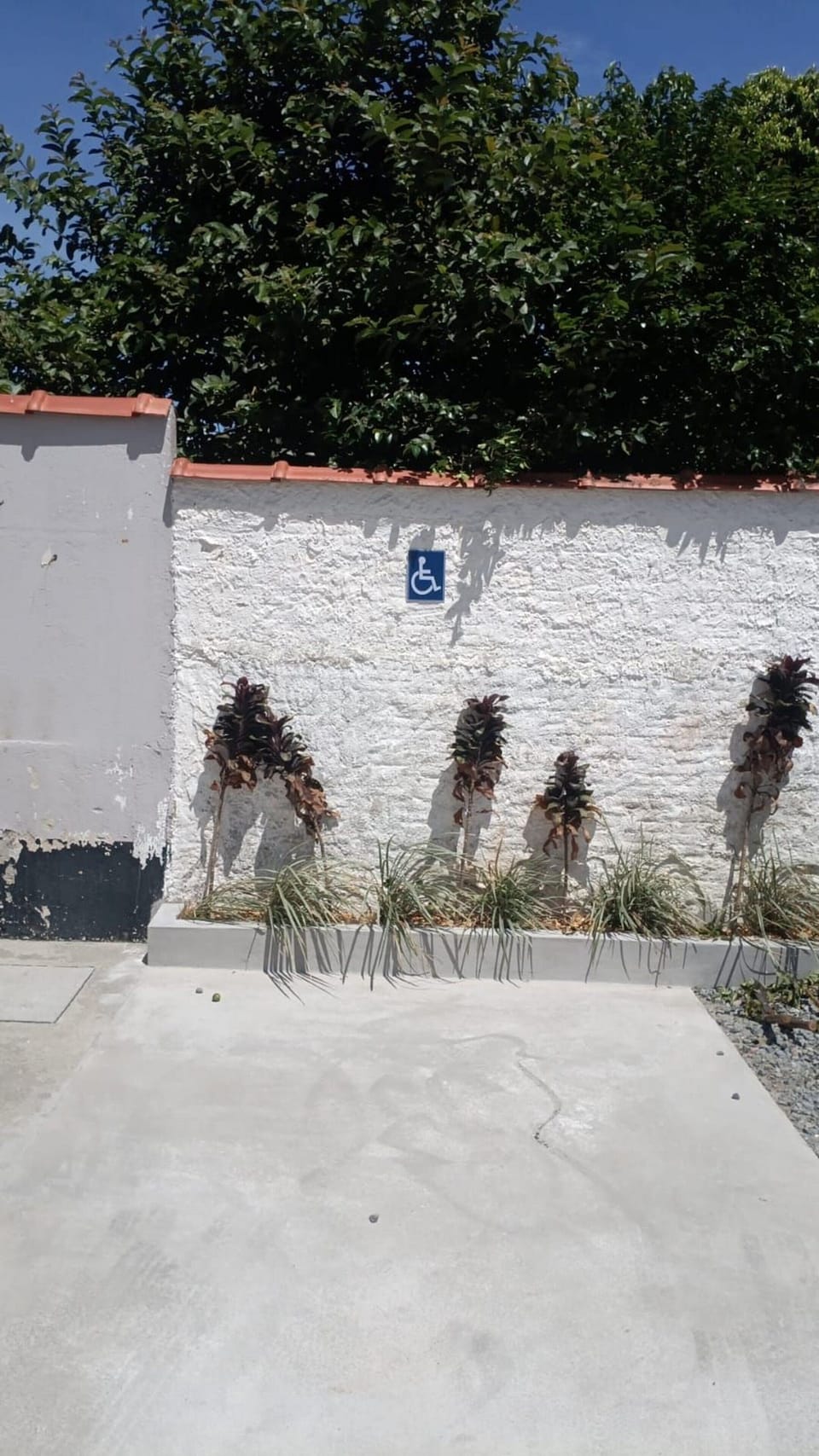 Deluxe Suite, 2 Double Beds | Property grounds