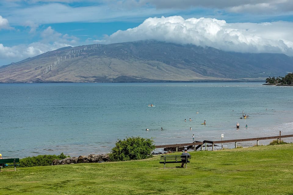 There are pathways for a nice walk to the beach