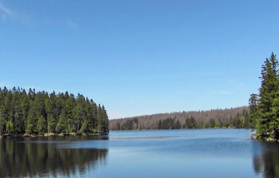 area