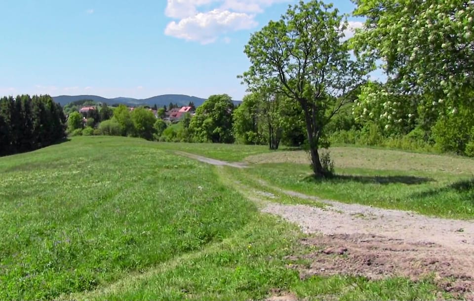area