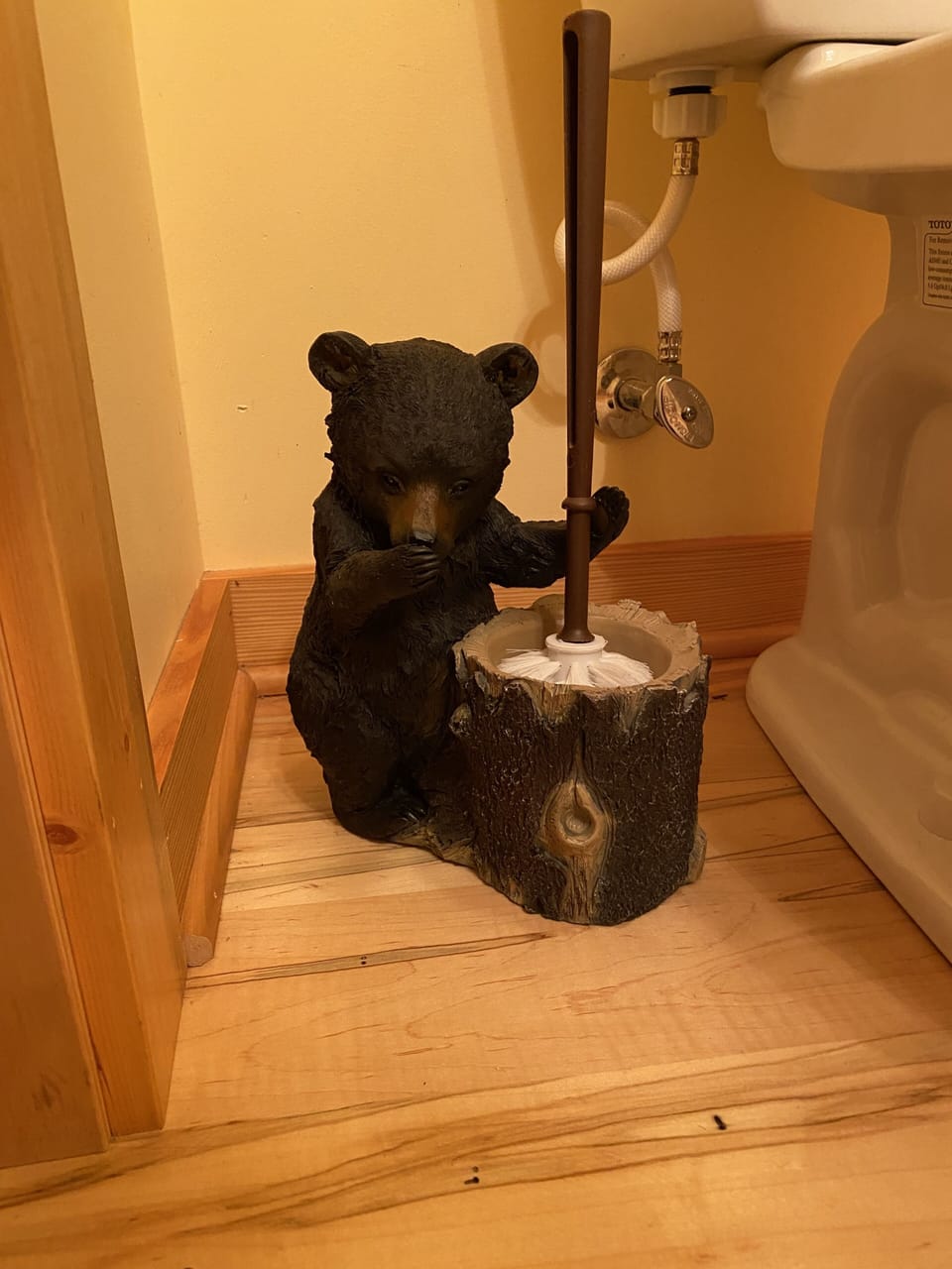 part of our cleaning crew 