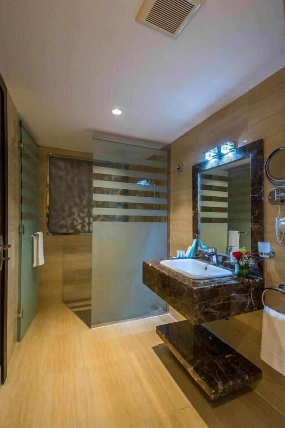 Hair dryer, bidet