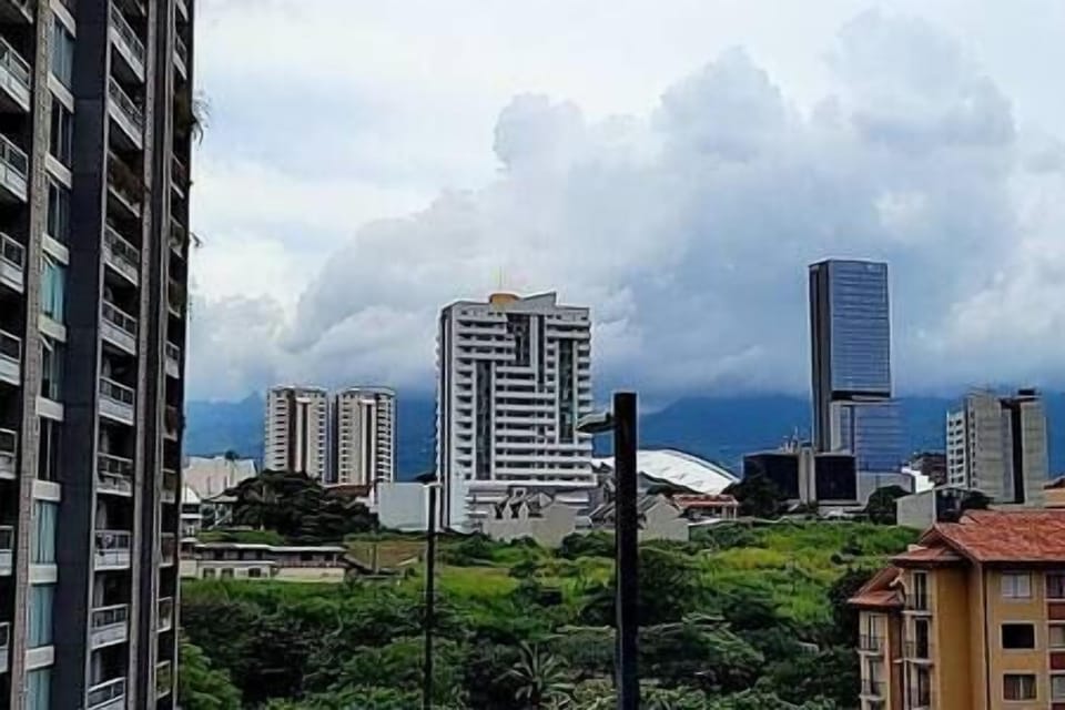 City view (2)