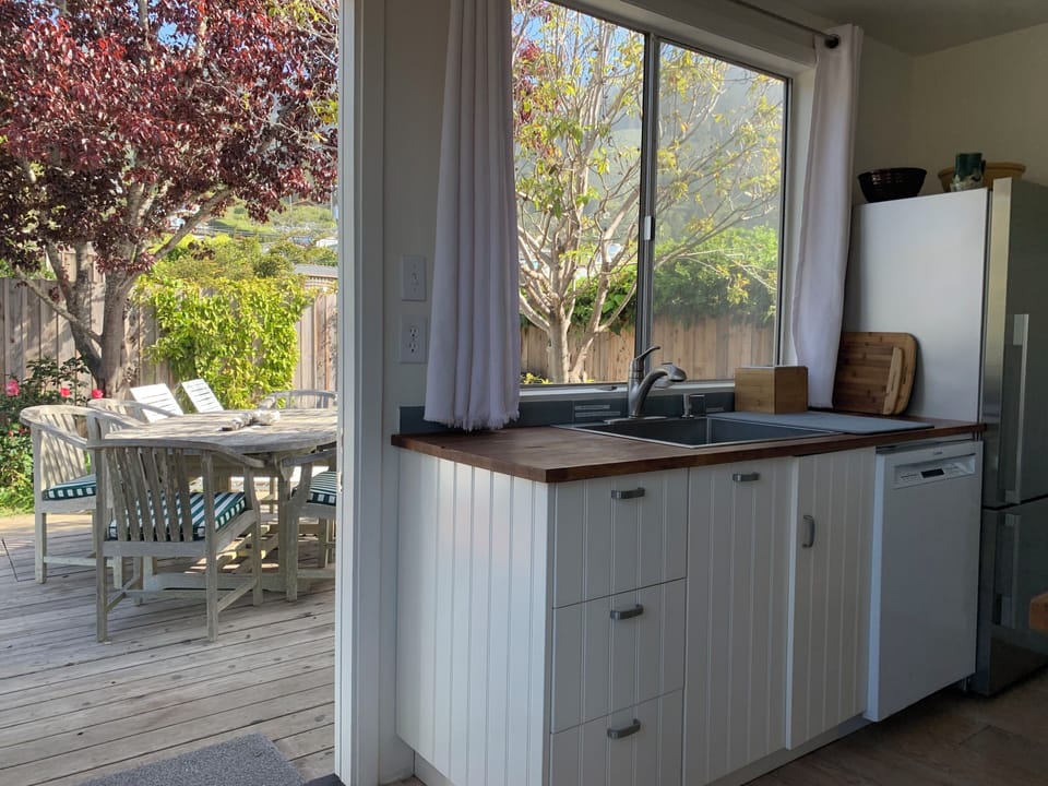 Stainless steel sink, Fisher Paykel refrigerator, pull out trash/recycle bins.