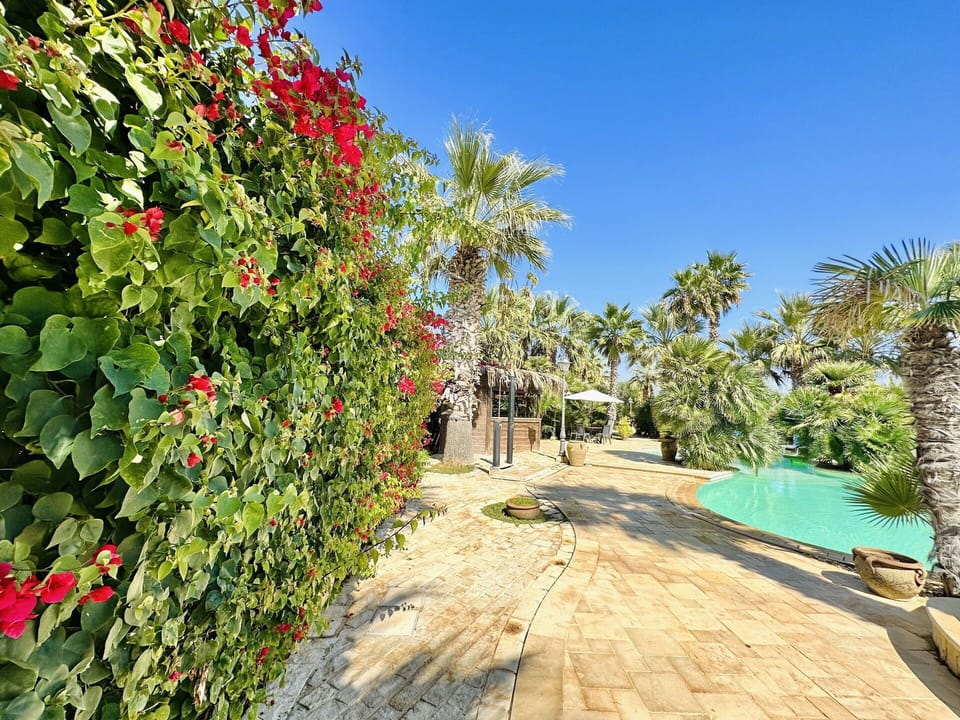 Garden, Outdoor, Pool, Summer