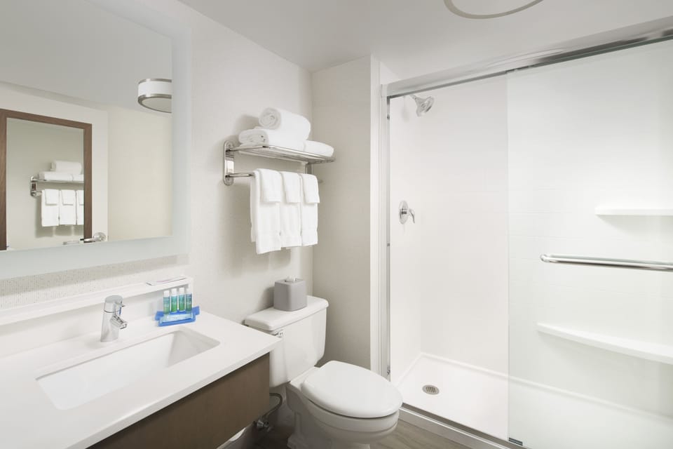 Hair dryer, towels, soap, shampoo
