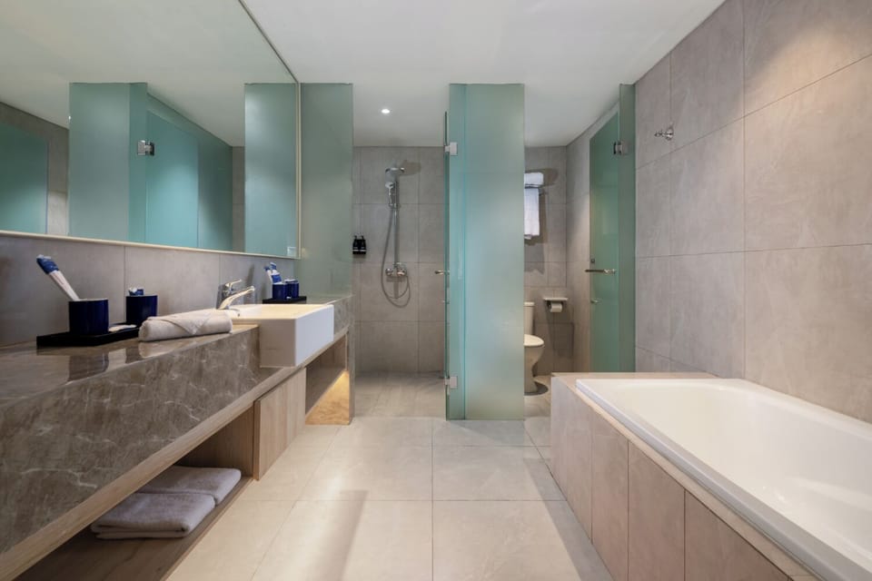 Aston Suite | Bathroom | Free toiletries, hair dryer, slippers, bidet