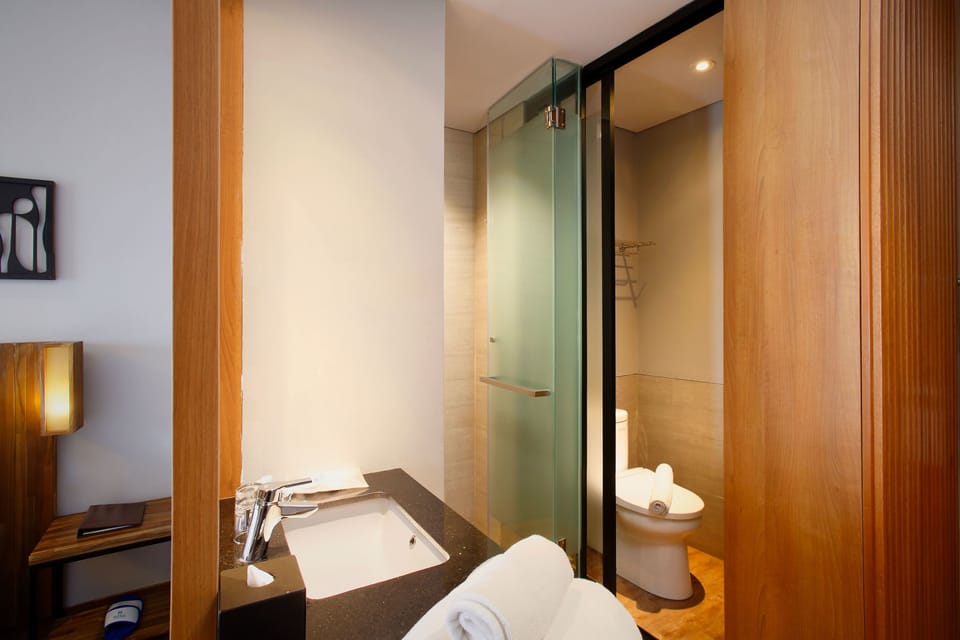 Shower, free toiletries, hair dryer, towels