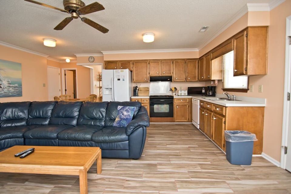 Living / Kitchen