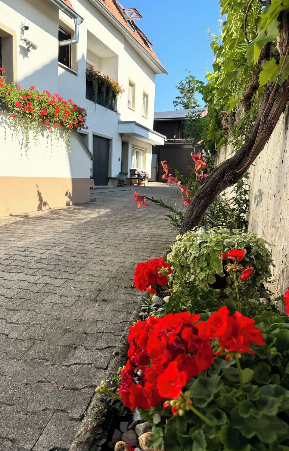 Exterior detail