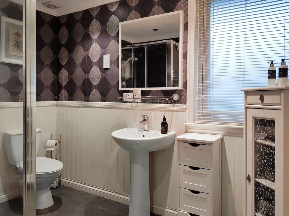 Shower room | Leven Lodge 3 - Loch Lomond Sanctuary Lodges, Loch Lomond