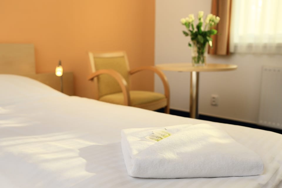 Double Room | Room amenity