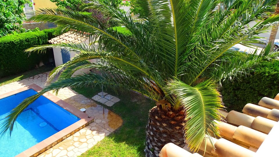 Outdoor, Pool