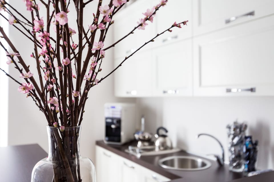 Superior Room | Private kitchen | Fridge, microwave, stovetop, dishwasher