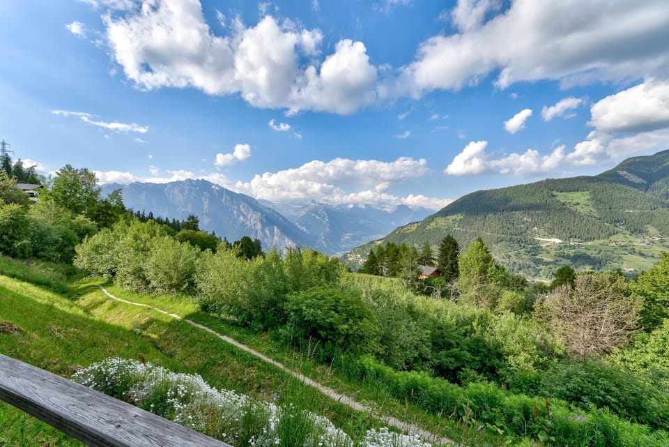 Mountain views