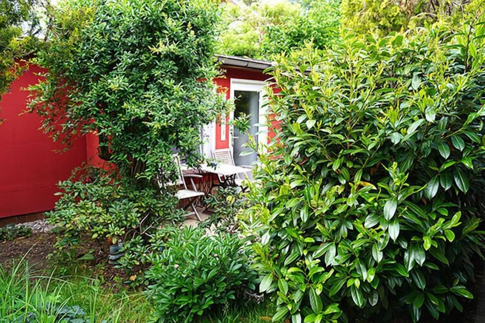 Immediate Surroundings [summer] (<1 km)