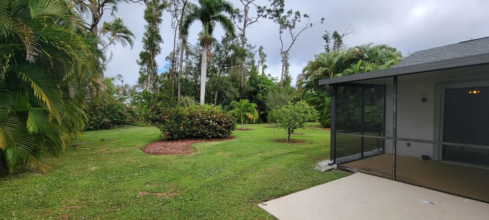 Backyard - East view