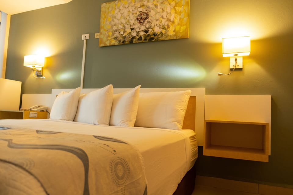Deluxe Room, Private Bathroom, City View | Desk, laptop workspace, blackout drapes, soundproofing