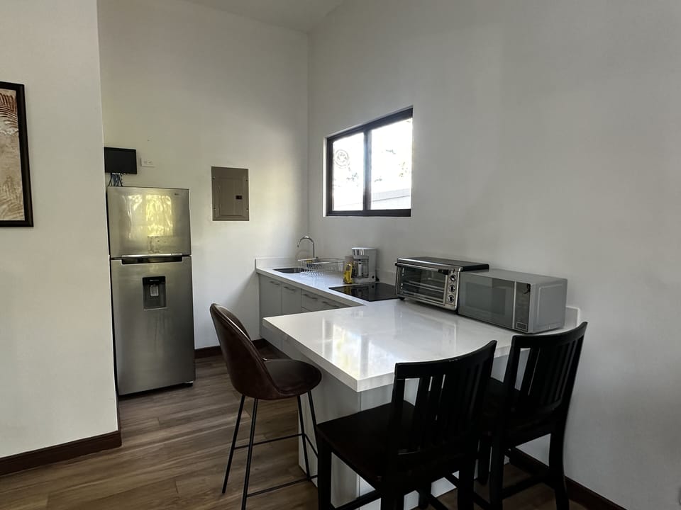 Basic Apartment | Private kitchen | Full-size fridge, microwave, oven, coffee/tea maker