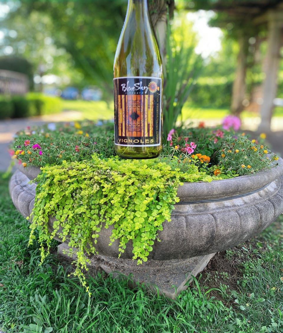 Blue Sky Winery